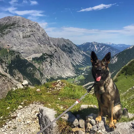 Cafe-pension Erika 3*