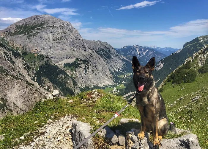 Cafe-pension Erika 3*